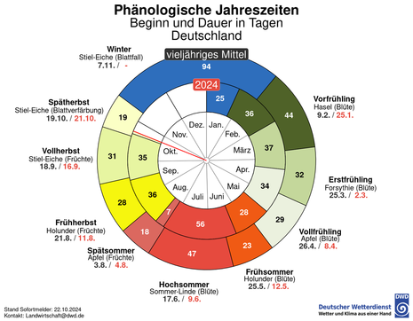 Phänologische Uhr 2023 (Quelle Deutscher Wetterdienst)