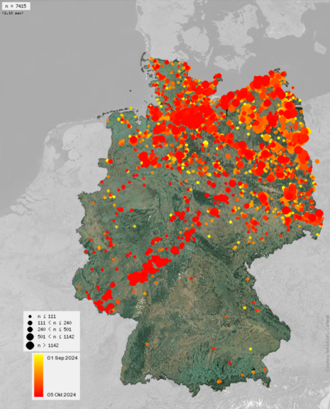 Aktuelle Positionsbeobachtungen der Kraniche (rot=aktuell), Quelle: https://www.ornitho.de/index.php?m_id=30094 (Quelle Ornitho)