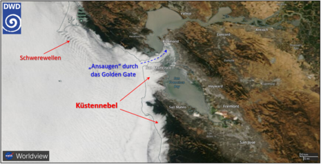 Küstennebel an der kalifornischen Westküste bei San Francisco am 9. August 2024. (Quelle DWD - Deutscher Wetterdienst(worldview.earthdata.nasa.gov))