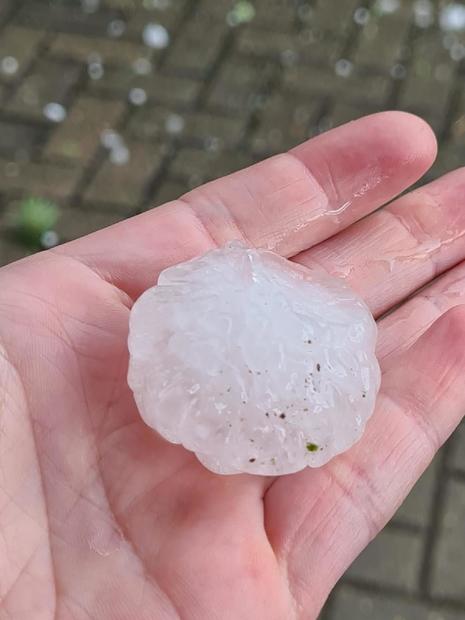 Abb 1: Meldung aus der WarnWetter-App: Nutzerbild eines Hagelkorns bei Schweinfurt, 18.06.2024 (Quelle DWD - Deutscher Wetterdienst(WarnWetter-App))