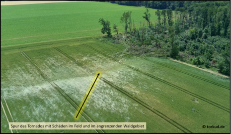 Die Grafik zeigt einen Teil der Tornadoschneise des starken IF2 Tornados von Heere, am 18.06.2024.