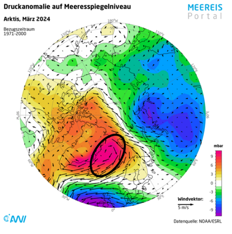 Druckanomalie auf Meeresspiegelniveau und mittlere Windvektoren in der Arktis im März 2024 (Quelle www.meereisportal.de (Datenquelle: NOAA/ESRL) )