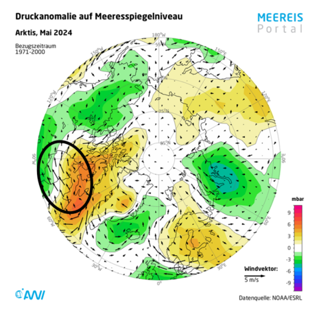 Druckanomalie auf Meeresspiegelniveau und mittlere Windvektoren in der Arktis im Mai 2024 (Quelle www.meereisportal.de (Datenquelle: NOAA/ESRL) )