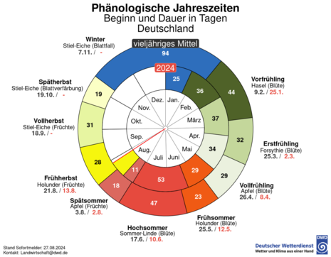 Phänologische Uhr 2024 (Quelle DWD)