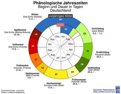 Phänologische Uhr 2025 mit phänologischen Jahreszeiten, Stand: 18.02.2025 (Quelle Deutscher Wetterdienst)