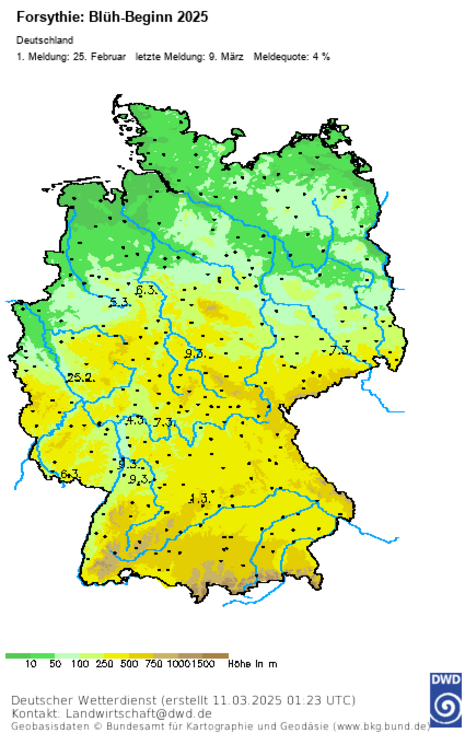 Abb 2: Deutschlandkarte zum Blüh-Beginn der Forsythien 2025, 1. Meldung am 25.2., neueste Meldung vom 09.03.2025, Meldequote 4 % (Quelle DWD - Deutscher Wetterdienst)