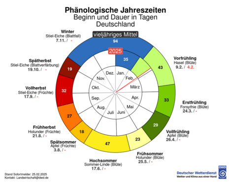 Die Phänologischen Jahreszeiten im Vergleich zwischen aktuellem Jahr und vieljährigem Mittel. (Quelle Deutscher Wetterdienst)