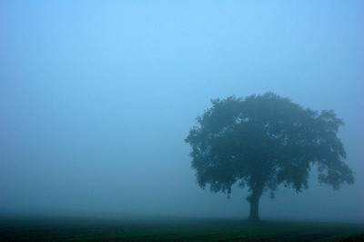 Nebel