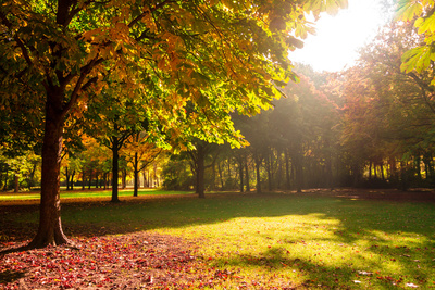 Herbststimmung