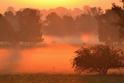 Ziemlich kühl war der erste Herbstmorgen 