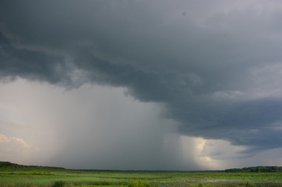 Starkregen unter einer Gewitterwolke