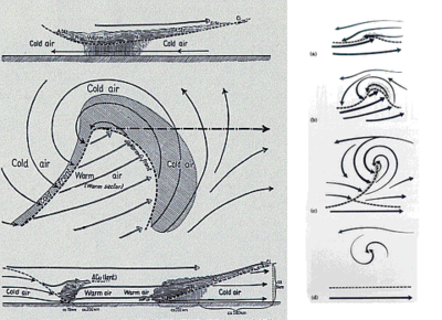 Entwicklung und Aufbau eines dynamischen Tiefdruckgebietes nach Vilhelm Bjerknes (1862-1951)